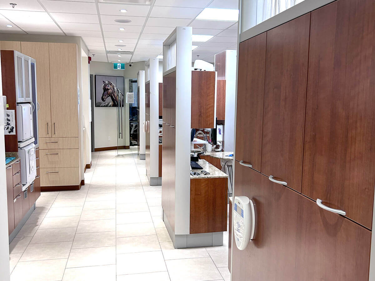 Floss & Gloss Dental Office Image 3